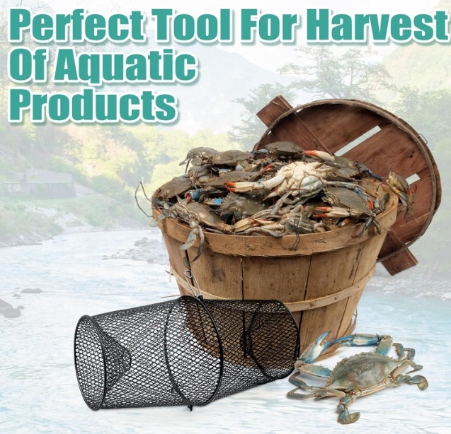 Trappola per gamberi in metall - Fishing Equipment Market recensione e prezzo