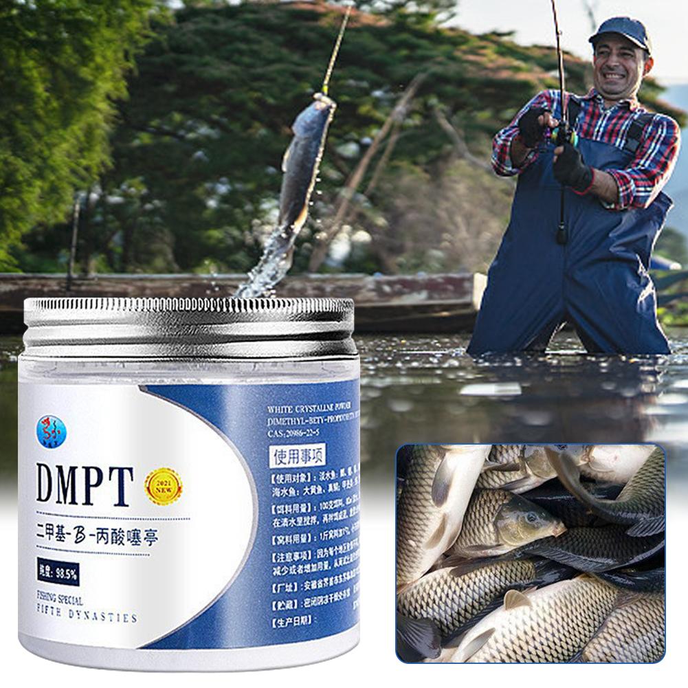 50g Reale DMPT Esca da pesca a - Fishing Equipment Market recensione e prezzo