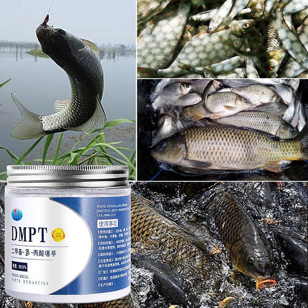 50g Reale DMPT Esca da pesca a - Fishing Equipment Market recensione e prezzo