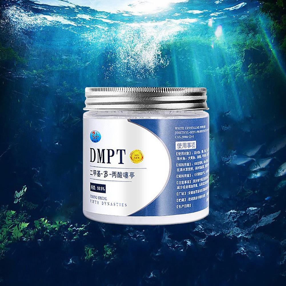 50g Reale DMPT Esca da pesca a - Fishing Equipment Market recensione e prezzo